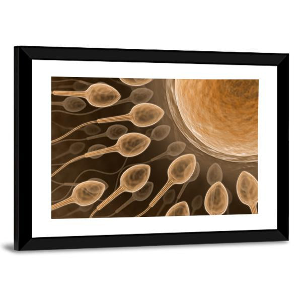 Sperm Close Up Canvas Wall Art-3 Horizontal-Gallery Wrap-25" x 16"-Tiaracle