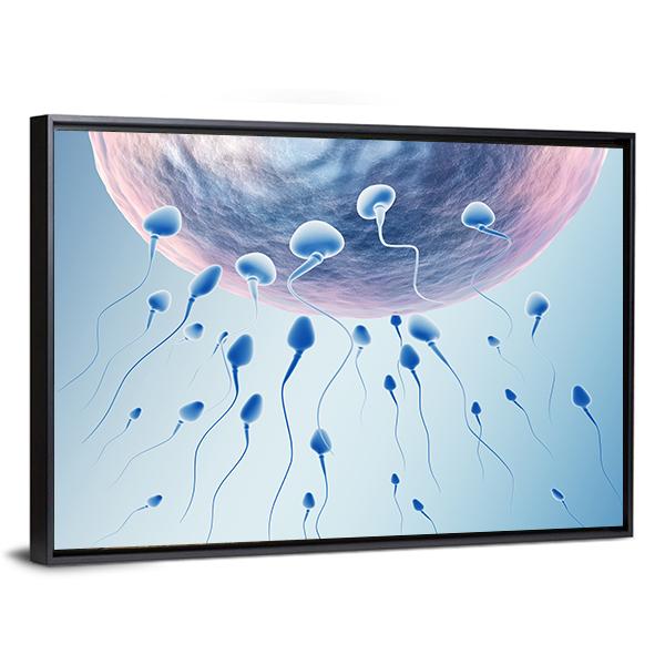 Sperm Hitting Egg Canvas Wall Art-3 Horizontal-Gallery Wrap-25" x 16"-Tiaracle