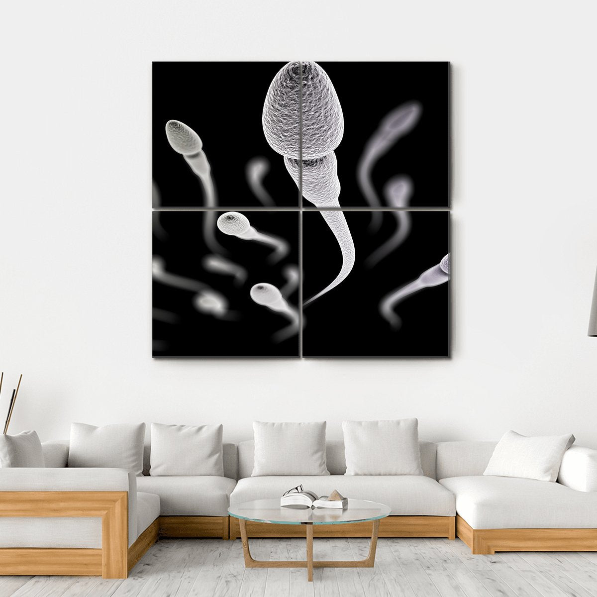Sperm Visualization On Black Canvas Wall Art-4 Square-Gallery Wrap-17" x 17"-Tiaracle