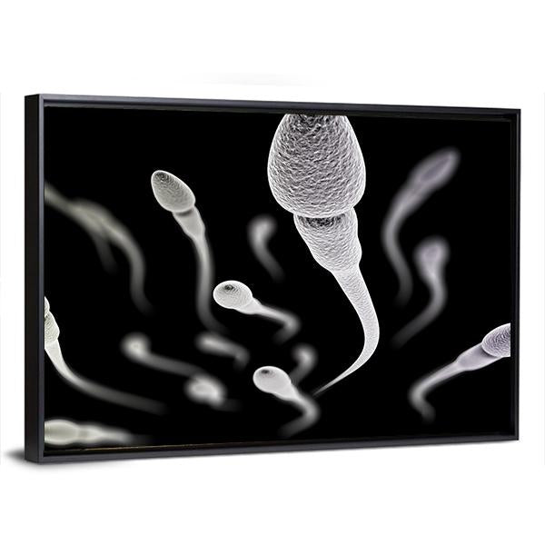 Sperm Visualization On Black Canvas Wall Art - Tiaracle