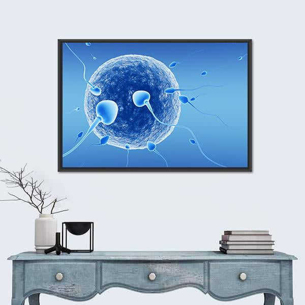 Spermatozoids And Human Egg Canvas Wall Art-1 Piece-Floating Frame-24" x 16"-Tiaracle
