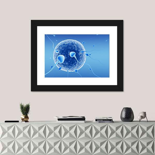 Spermatozoids And Human Egg Canvas Wall Art-1 Piece-Framed Print-20" x 16"-Tiaracle
