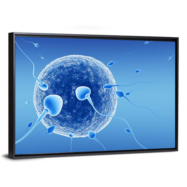 Spermatozoids And Human Egg Canvas Wall Art-3 Horizontal-Gallery Wrap-25" x 16"-Tiaracle