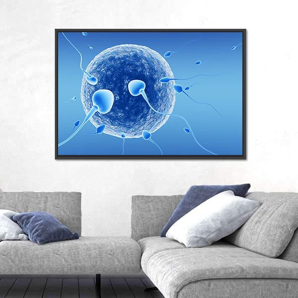 Spermatozoids And Human Egg Canvas Wall Art-3 Horizontal-Gallery Wrap-25" x 16"-Tiaracle
