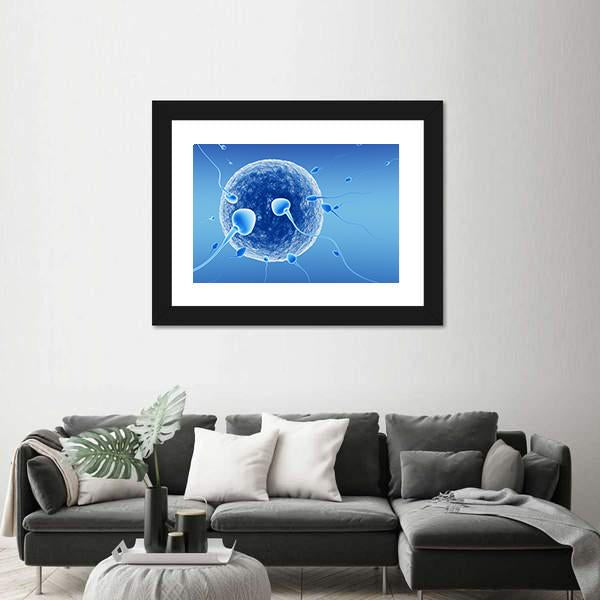 Spermatozoids And Human Egg Canvas Wall Art-3 Horizontal-Gallery Wrap-25" x 16"-Tiaracle