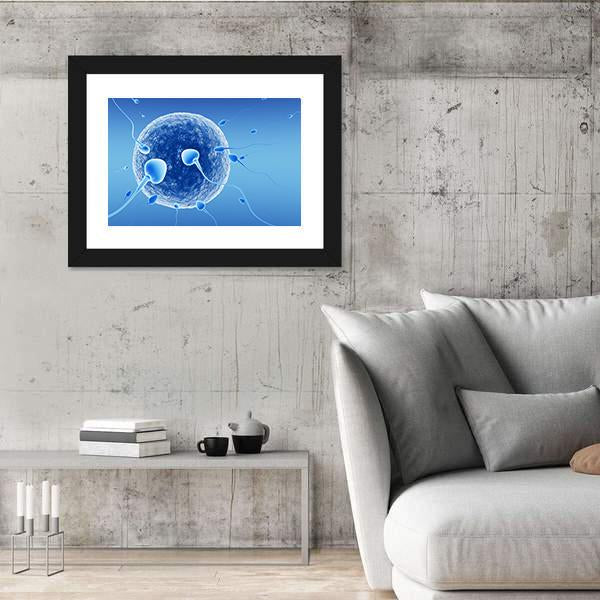 Spermatozoids And Human Egg Canvas Wall Art-3 Horizontal-Gallery Wrap-25" x 16"-Tiaracle