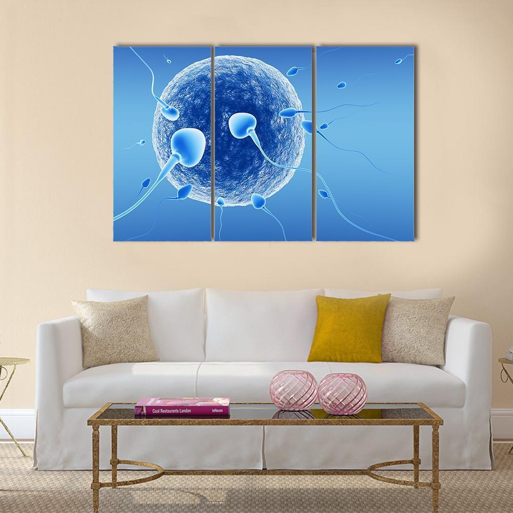 Spermatozoids And Human Egg Canvas Wall Art-3 Horizontal-Gallery Wrap-37" x 24"-Tiaracle