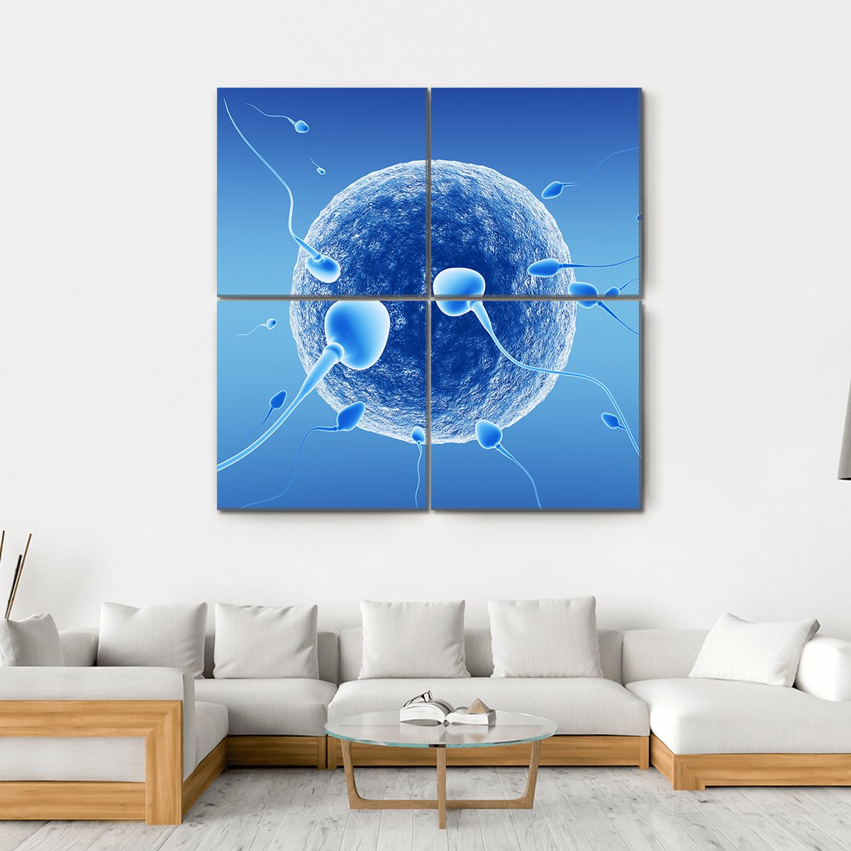 Spermatozoids And Human Egg Canvas Wall Art-4 Square-Gallery Wrap-17" x 17"-Tiaracle