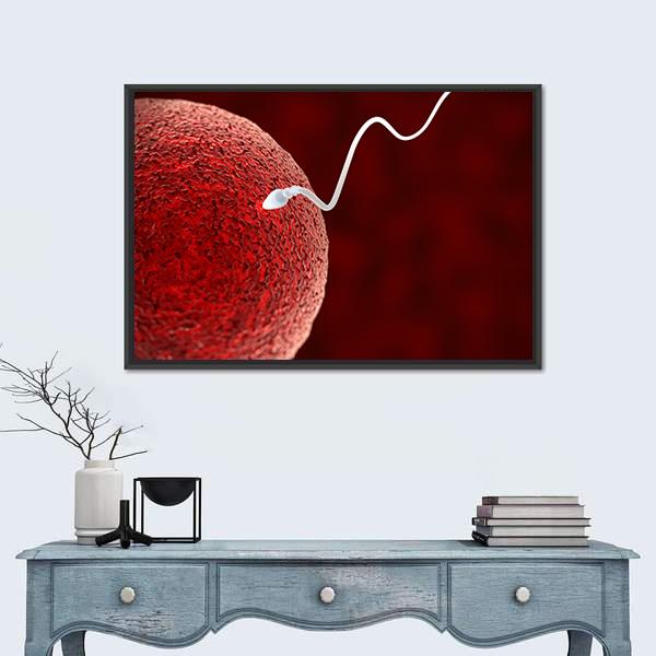 Spermatozoon Fertilizing Ovum Canvas Wall Art-1 Piece-Floating Frame-24" x 16"-Tiaracle