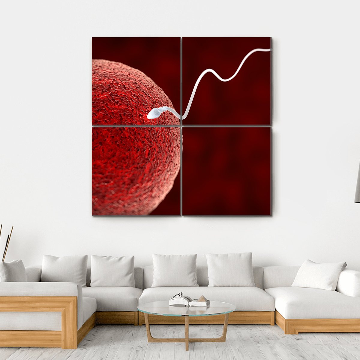 Spermatozoon Fertilizing Ovum Canvas Wall Art-4 Square-Gallery Wrap-17" x 17"-Tiaracle