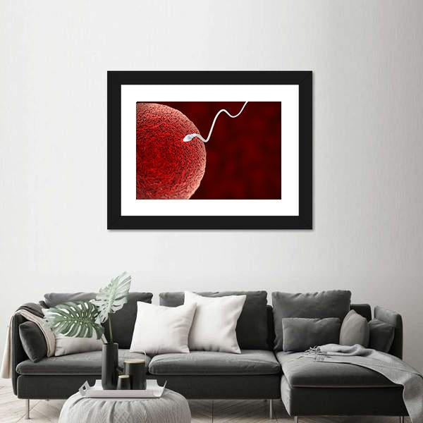 Spermatozoon Fertilizing Ovum Canvas Wall Art-3 Horizontal-Gallery Wrap-25" x 16"-Tiaracle