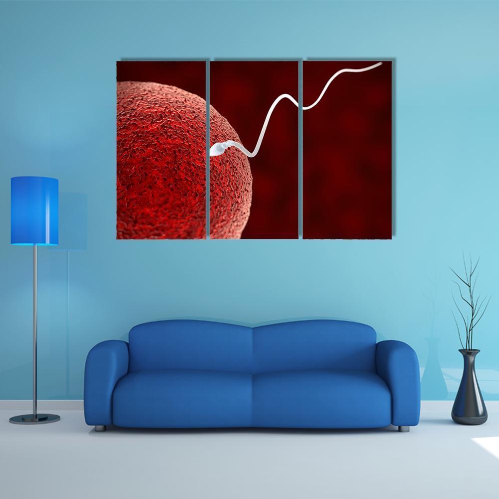 Spermatozoon Fertilizing Ovum Canvas Wall Art-3 Horizontal-Gallery Wrap-37" x 24"-Tiaracle