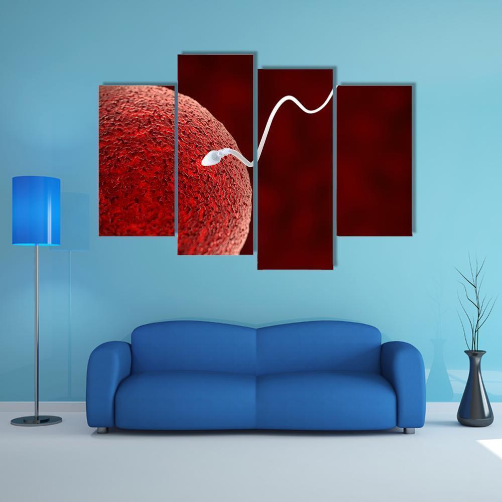 Spermatozoon Fertilizing Ovum Canvas Wall Art-4 Pop-Gallery Wrap-50" x 32"-Tiaracle
