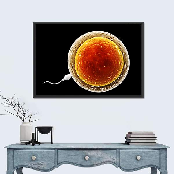 Spermatozoon Floating To Ovule Canvas Wall Art-1 Piece-Floating Frame-24" x 16"-Tiaracle