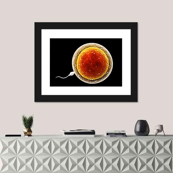 Spermatozoon Floating To Ovule Canvas Wall Art-1 Piece-Framed Print-20" x 16"-Tiaracle