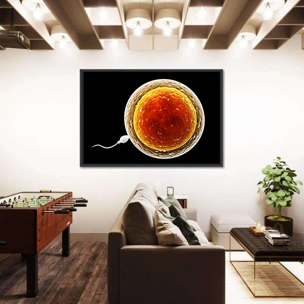 Spermatozoon Floating To Ovule Canvas Wall Art-3 Horizontal-Gallery Wrap-25" x 16"-Tiaracle