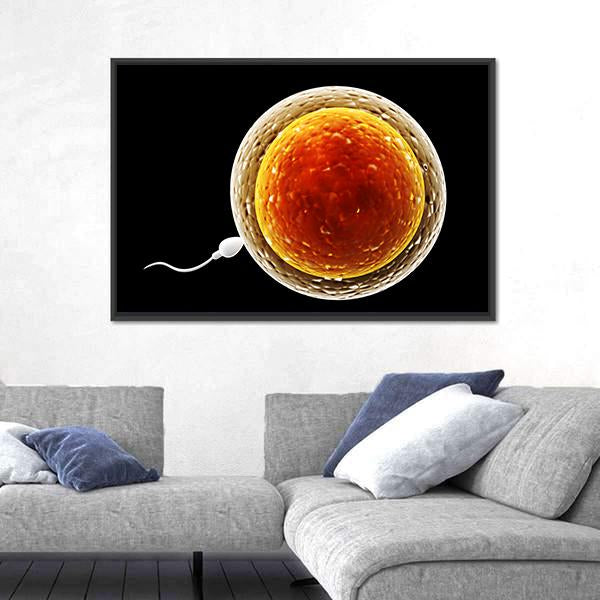 Spermatozoon Floating To Ovule Canvas Wall Art-3 Horizontal-Gallery Wrap-25" x 16"-Tiaracle