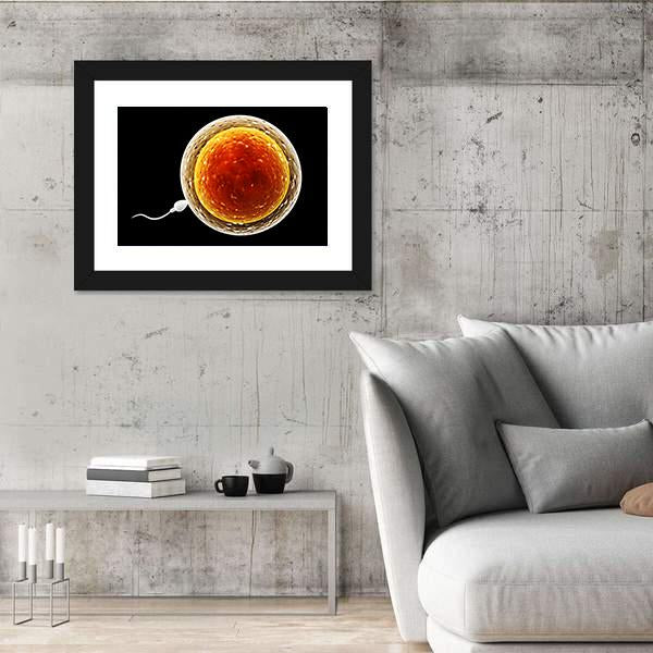 Spermatozoon Floating To Ovule Canvas Wall Art-3 Horizontal-Gallery Wrap-25" x 16"-Tiaracle