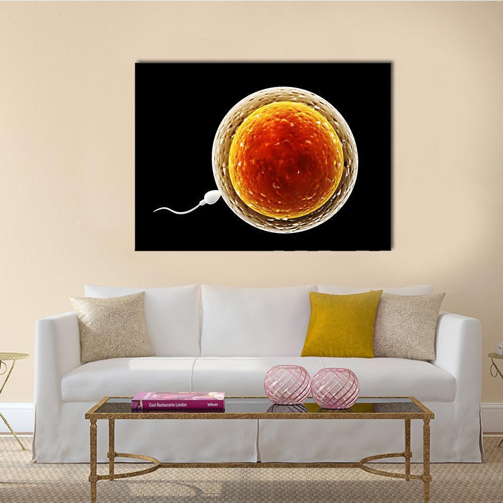 Spermatozoon Approaching Ovum Canvas Wall Art in black, orange and yellow, single panel hung on a wall