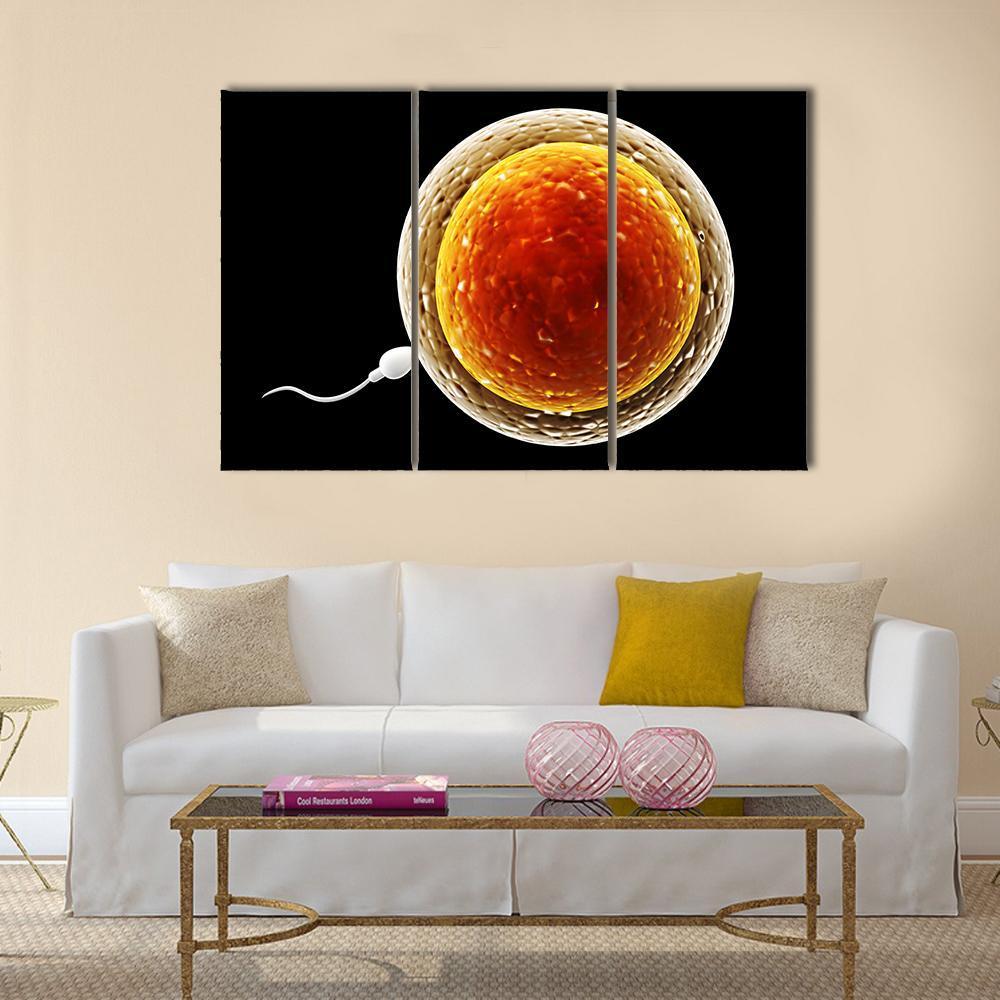 Spermatozoon Floating To Ovule Canvas Wall Art-3 Horizontal-Gallery Wrap-37" x 24"-Tiaracle