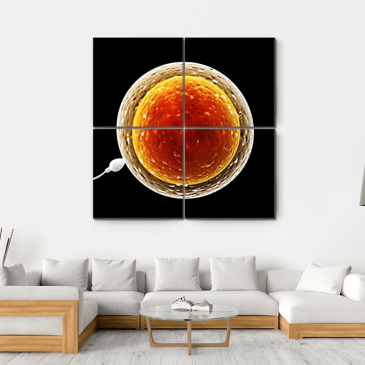 Spermatozoon Floating To Ovule Canvas Wall Art-4 Square-Gallery Wrap-17" x 17"-Tiaracle