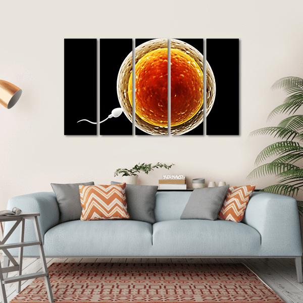 Spermatozoon Floating To Ovule Canvas Wall Art-5 Horizontal-Gallery Wrap-22" x 12"-Tiaracle