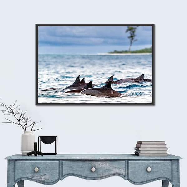 Spinner Dolphins In Shallow Bays Canvas Wall Art-1 Piece-Floating Frame-24" x 16"-Tiaracle