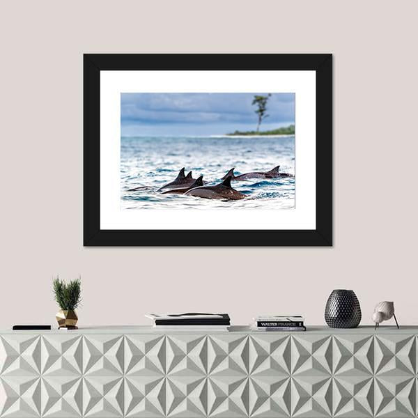 Spinner Dolphins In Shallow Bays Canvas Wall Art-1 Piece-Framed Print-20" x 16"-Tiaracle