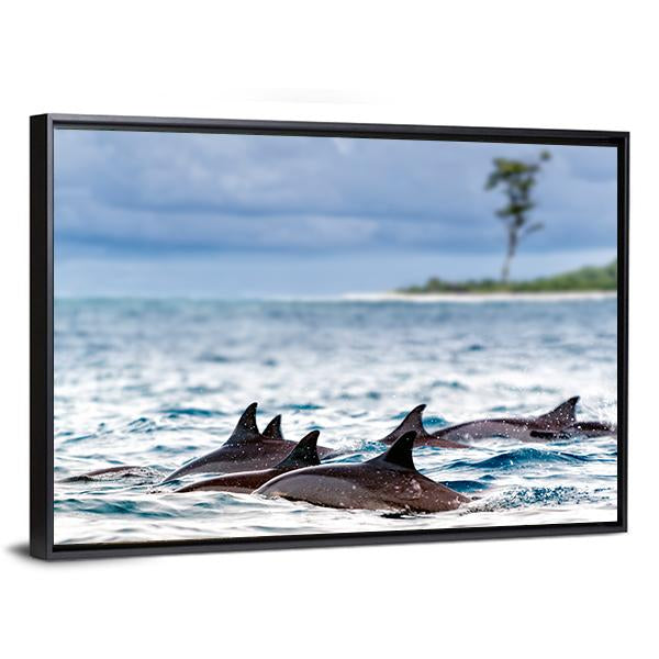 Spinner Dolphins In Shallow Bays Canvas Wall Art-3 Horizontal-Gallery Wrap-25" x 16"-Tiaracle
