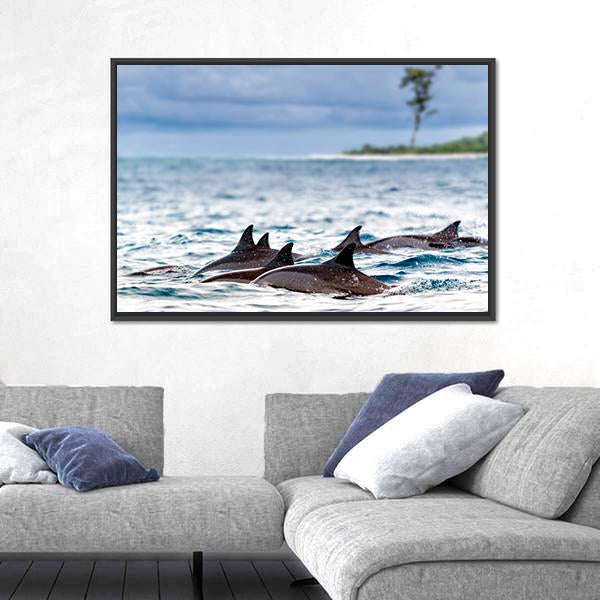 Spinner Dolphins In Shallow Bays Canvas Wall Art-3 Horizontal-Gallery Wrap-25" x 16"-Tiaracle