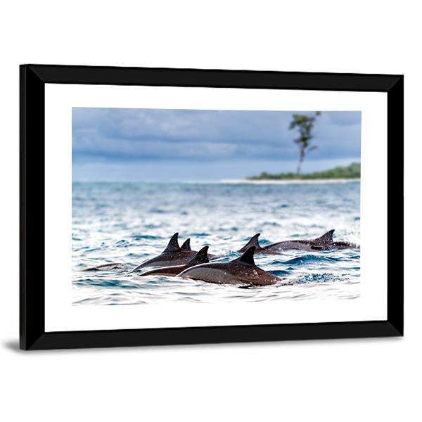 Spinner Dolphins In Shallow Bays Canvas Wall Art-3 Horizontal-Gallery Wrap-25" x 16"-Tiaracle