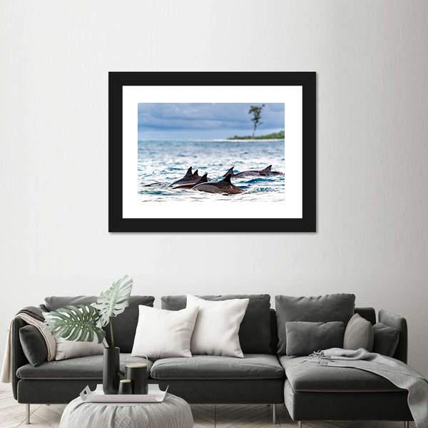 Spinner Dolphins In Shallow Bays Canvas Wall Art-3 Horizontal-Gallery Wrap-25" x 16"-Tiaracle