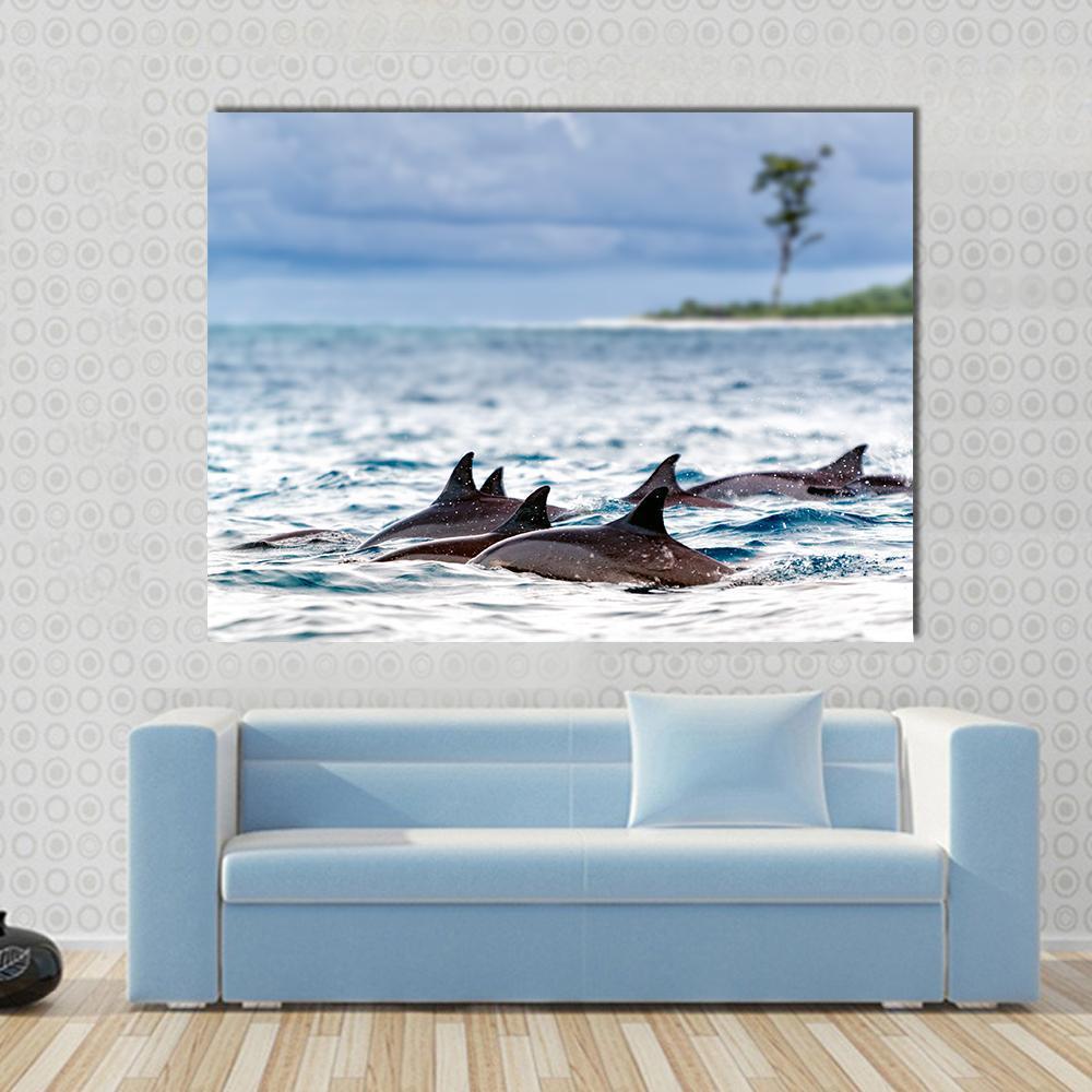 Spinner Dolphins in Shallow Bays Canvas Wall Art in white, gray and blue, single panel hung on a wall