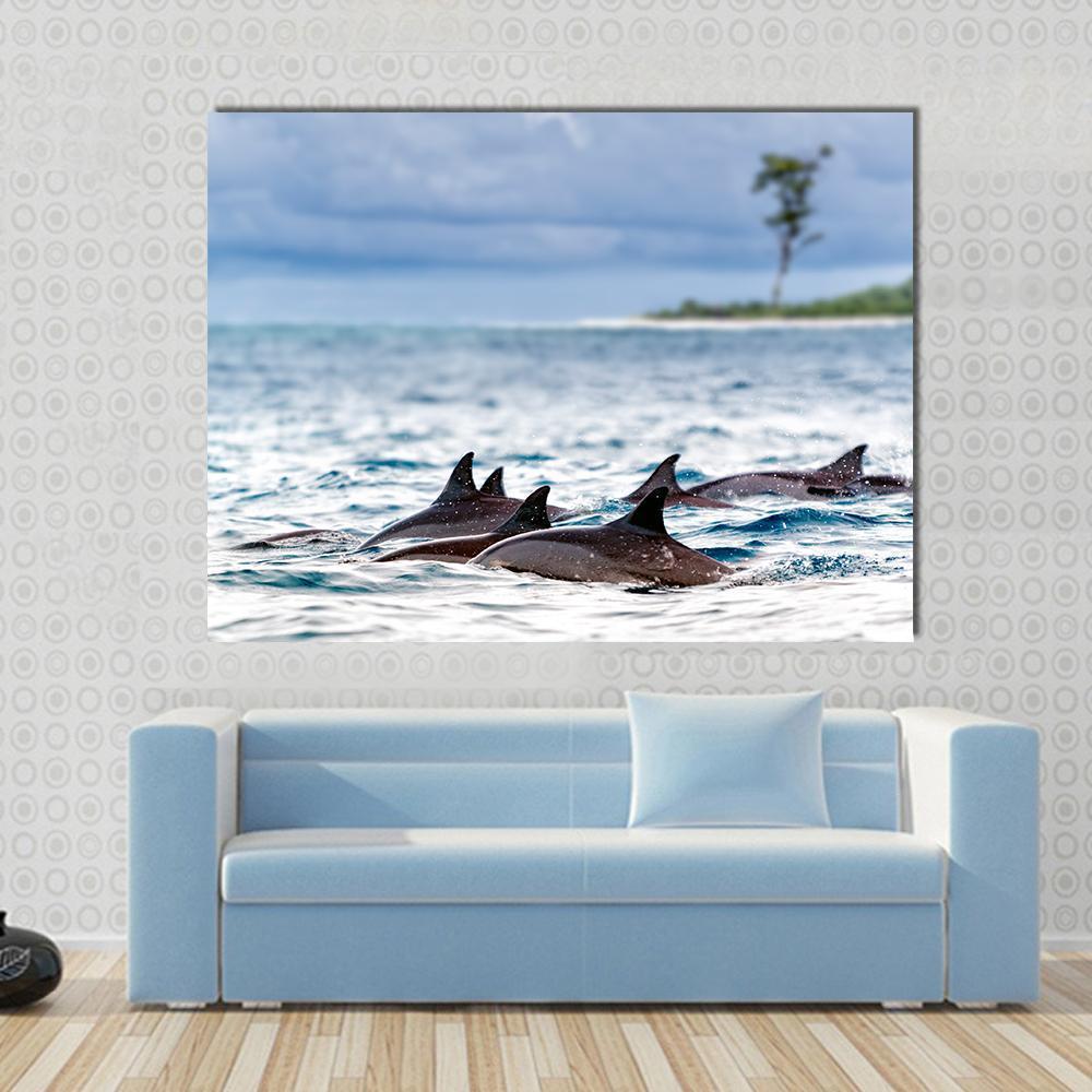 Spinner Dolphins In Shallow Bays Canvas Wall Art-3 Horizontal-Gallery Wrap-25" x 16"-Tiaracle