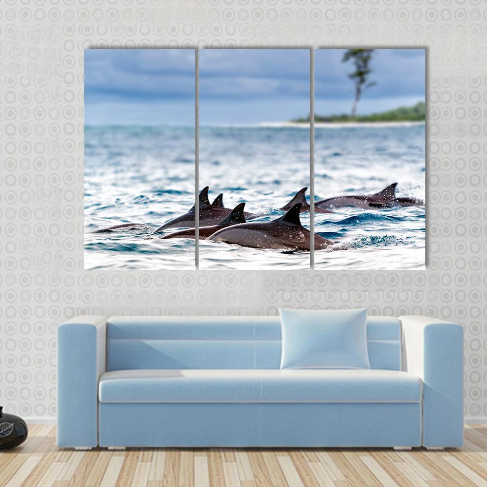 Spinner Dolphins In Shallow Bays Canvas Wall Art-3 Horizontal-Gallery Wrap-37" x 24"-Tiaracle