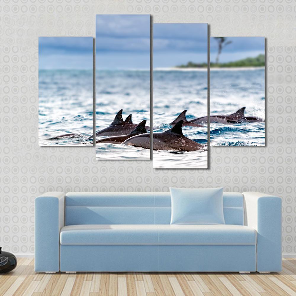 Spinner Dolphins In Shallow Bays Canvas Wall Art-4 Pop-Gallery Wrap-50" x 32"-Tiaracle