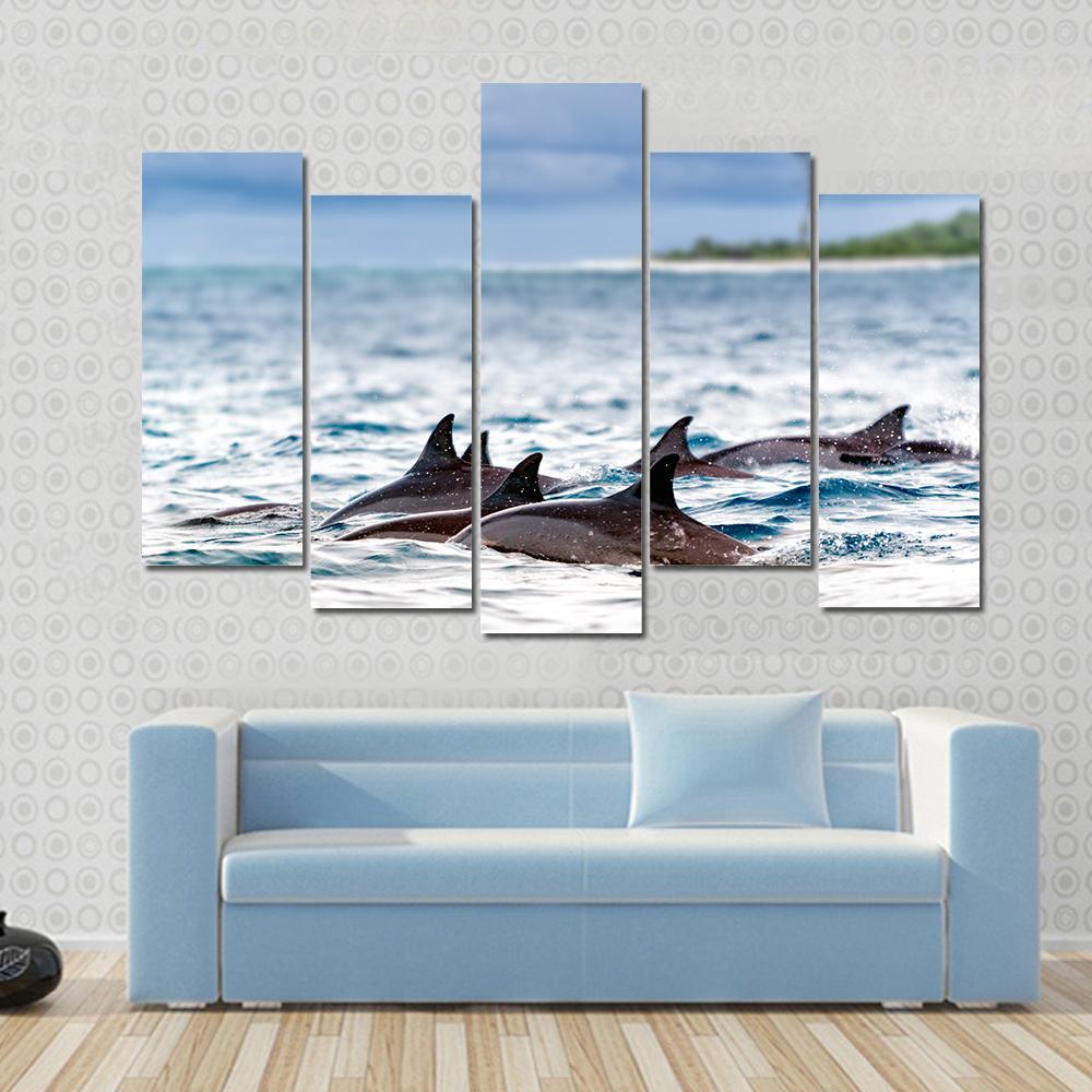 Spinner Dolphins In Shallow Bays Canvas Wall Art-5 Pop-Gallery Wrap-47" x 32"-Tiaracle