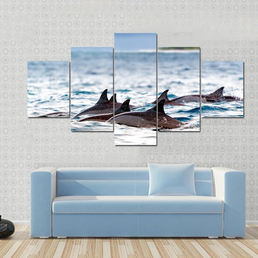 Spinner Dolphins In Shallow Bays Canvas Wall Art-5 Star-Gallery Wrap-62" x 32"-Tiaracle