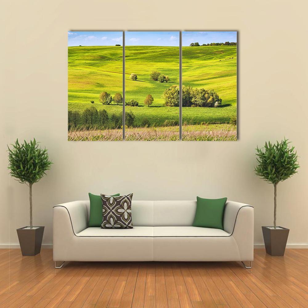 Spring Fields Covered With Fresh Grass Canvas Wall Art-3 Horizontal-Gallery Wrap-37" x 24"-Tiaracle