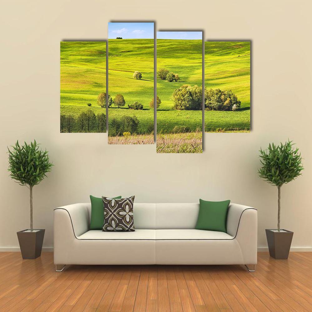 Spring Fields Covered With Fresh Grass Canvas Wall Art-4 Pop-Gallery Wrap-50" x 32"-Tiaracle
