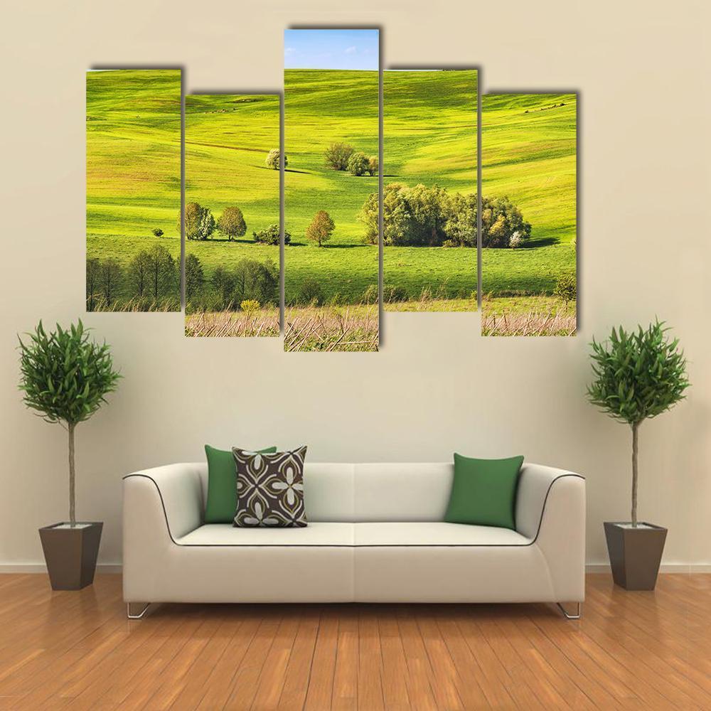 Spring Fields Covered With Fresh Grass Canvas Wall Art-5 Pop-Gallery Wrap-47" x 32"-Tiaracle