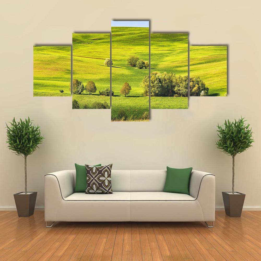 Spring Fields Covered With Fresh Grass Canvas Wall Art-5 Star-Gallery Wrap-62" x 32"-Tiaracle