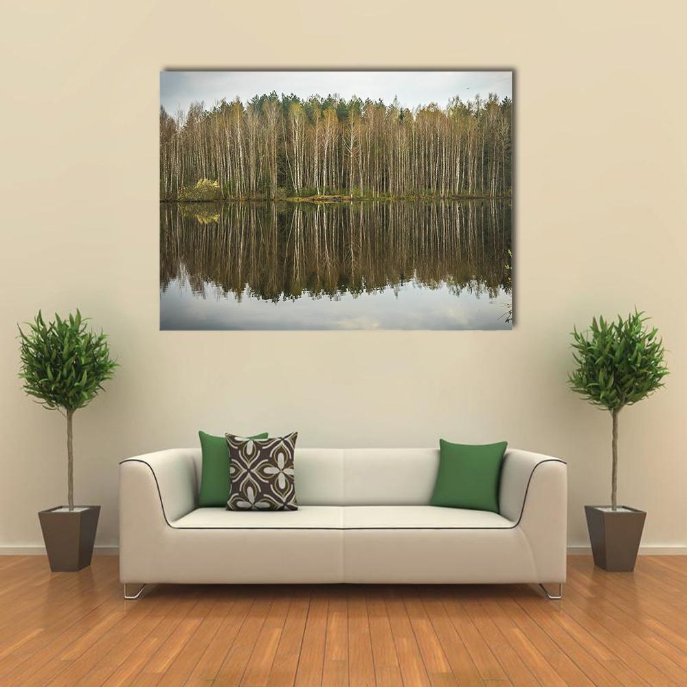 Spring Flood Birch Lake Reflection Canvas Wall Art in gray, brown and green, single panel hung on a wall
