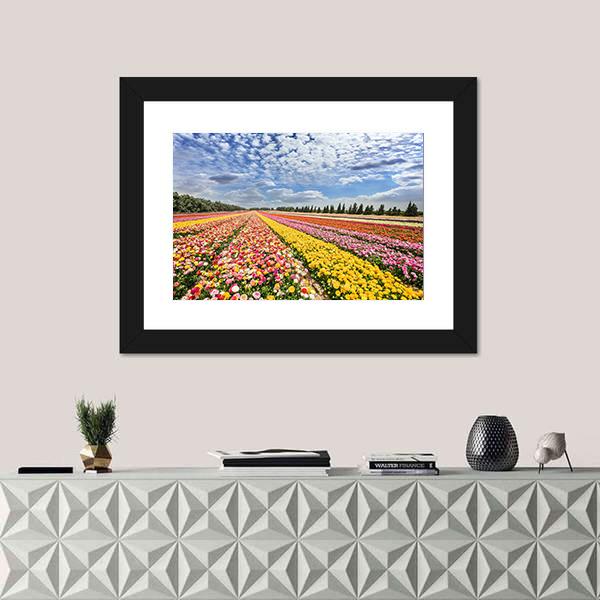 Spring Flowering Buttercups Canvas Wall Art-1 Piece-Framed Print-20" x 16"-Tiaracle