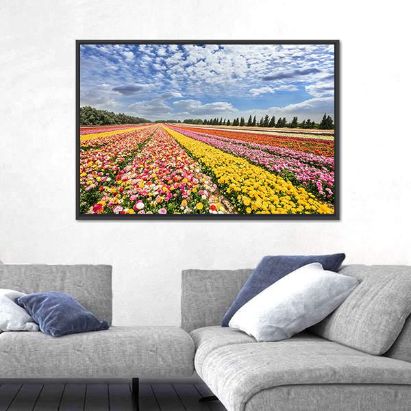 Spring Flowering Buttercups Canvas Wall Art-3 Horizontal-Gallery Wrap-25" x 16"-Tiaracle