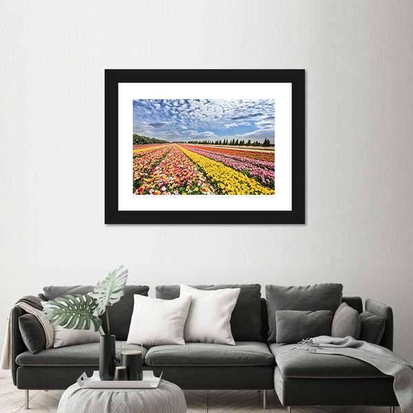 Spring Flowering Buttercups Canvas Wall Art-3 Horizontal-Gallery Wrap-25" x 16"-Tiaracle