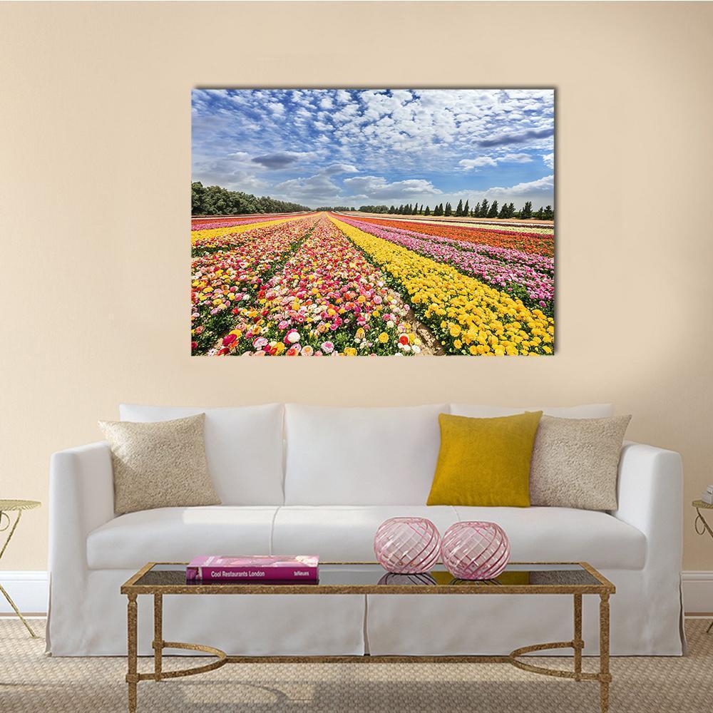 Spring Ranunculus Field Canvas Wall Art in yellow, blue and multicolor, single panel hung on a wall
