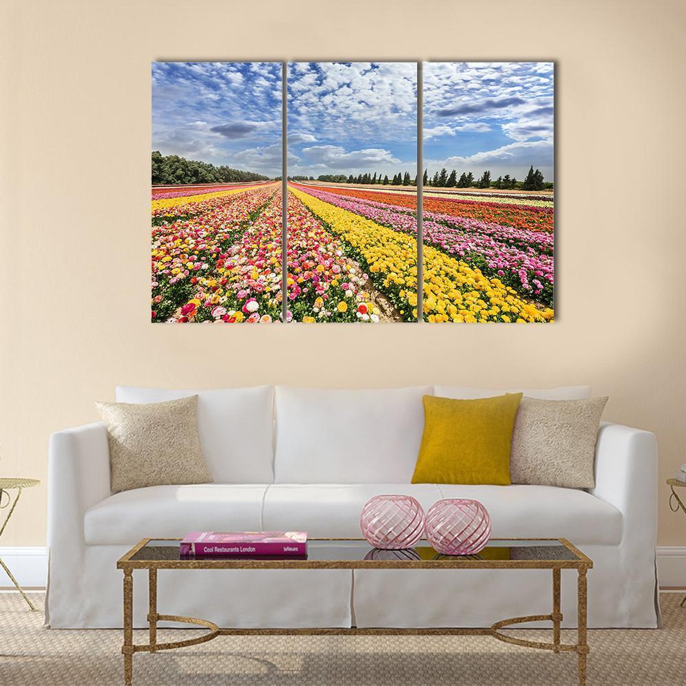 Spring Flowering Buttercups Canvas Wall Art-3 Horizontal-Gallery Wrap-37" x 24"-Tiaracle