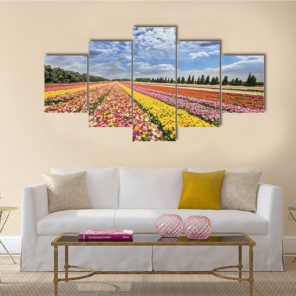 Spring Flowering Buttercups Canvas Wall Art-5 Pop-Gallery Wrap-47" x 32"-Tiaracle
