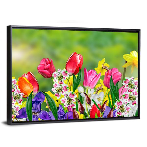 Spring Flowers Daffodils And Tulips Canvas Wall Art-3 Horizontal-Gallery Wrap-25" x 16"-Tiaracle